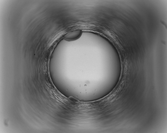 X0000100371211200806201620