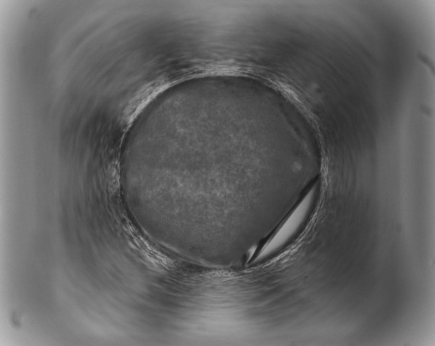 X0000100371212200806201620