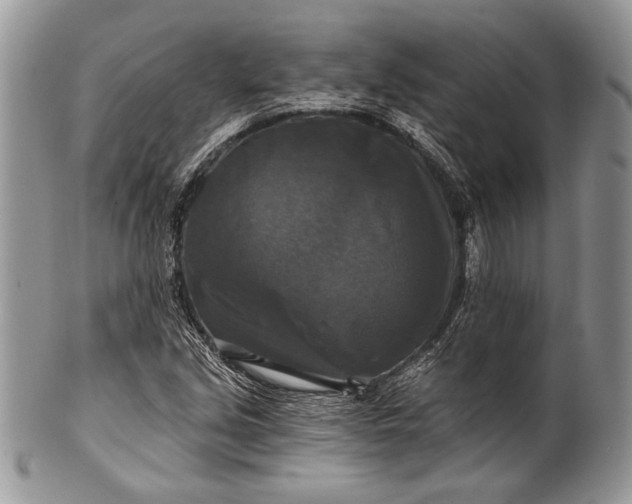 X0000100371213200806201620