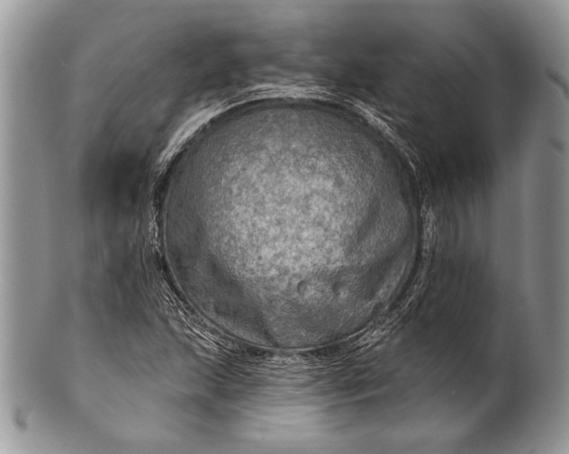 X0000100371215200806201620