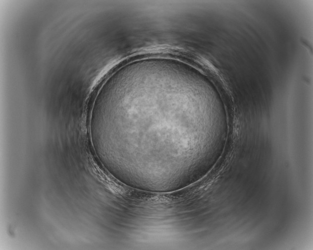 X0000100371216200806201620