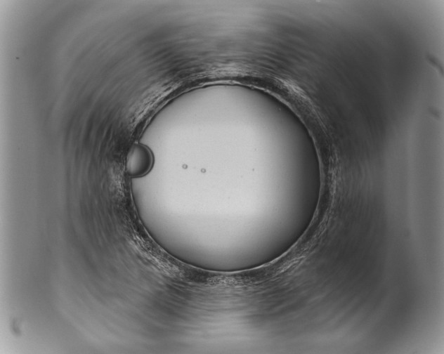 X0000100371217200806201620