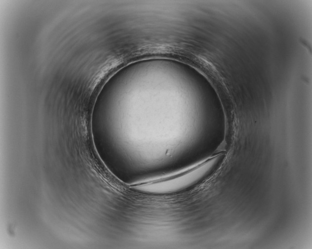 X0000100371218200806201620