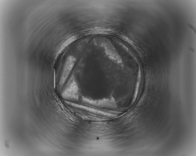 X0000100371219200806201620