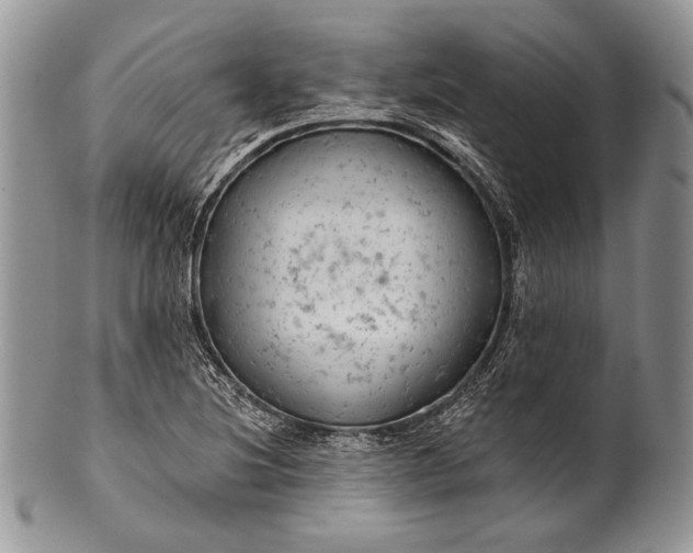 X0000100371220200806201620