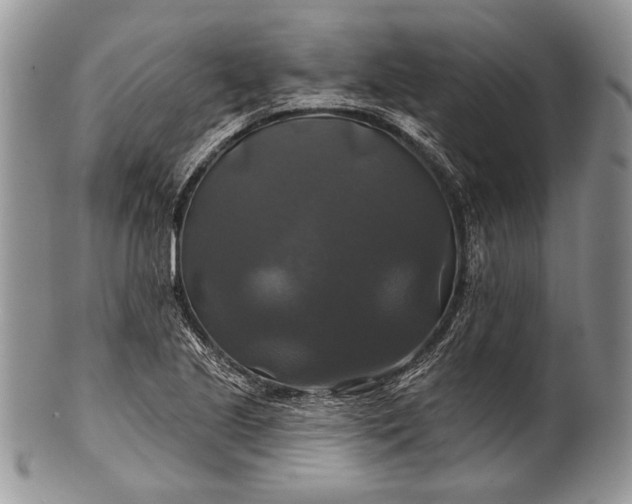 X0000100371221200806201620