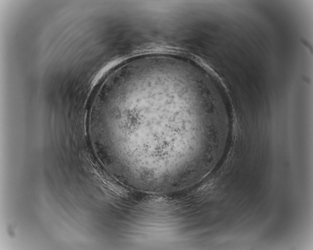 X0000100371222200806201620