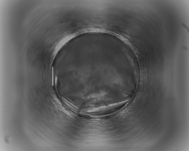 X0000100371223200806201620