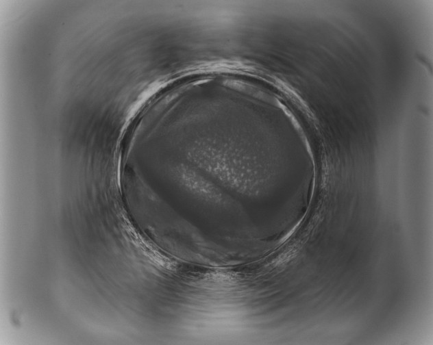 X0000100371224200806201620