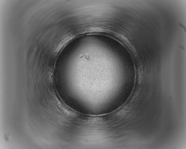 X0000100371225200806201620