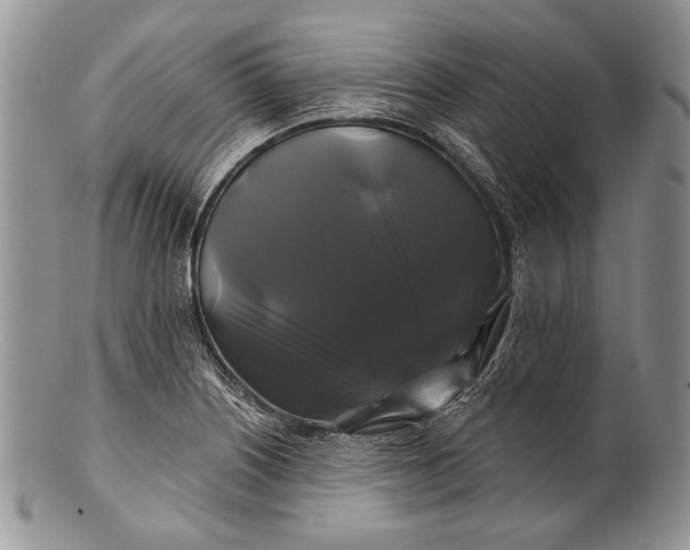 X0000100371226200806201620