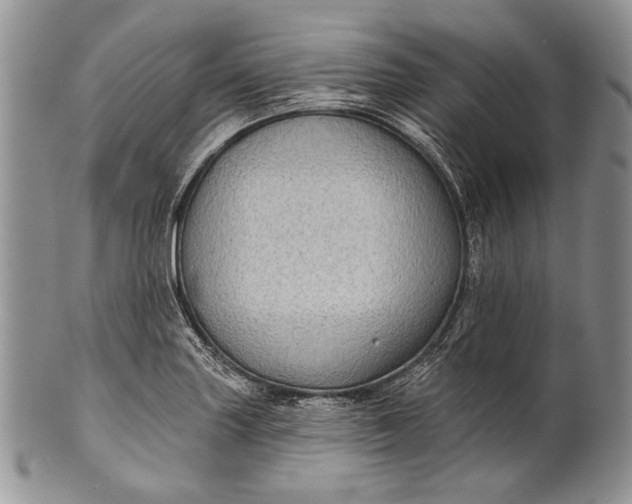 X0000100371227200806201620