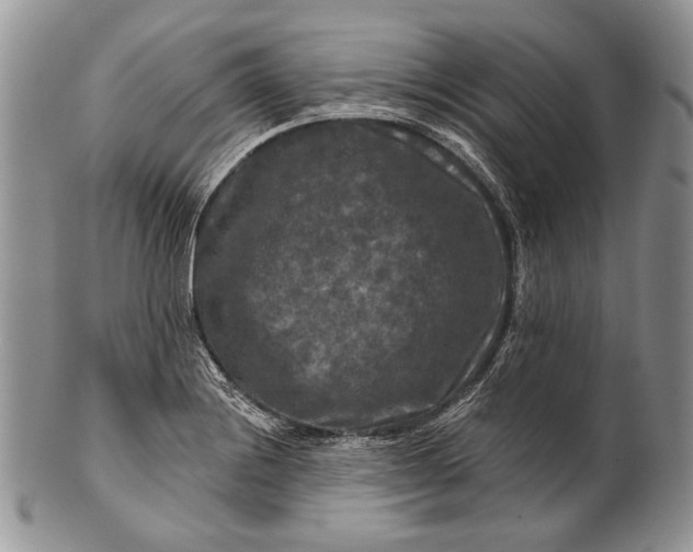 X0000100371228200806201620