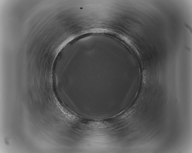 X0000100371229200806201620