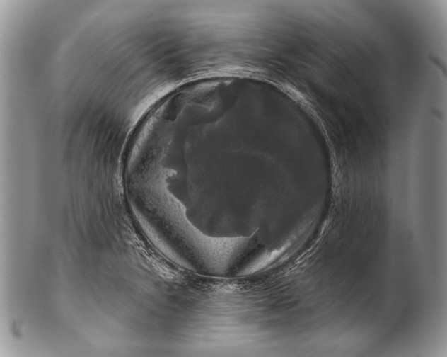 X0000100371230200806201620