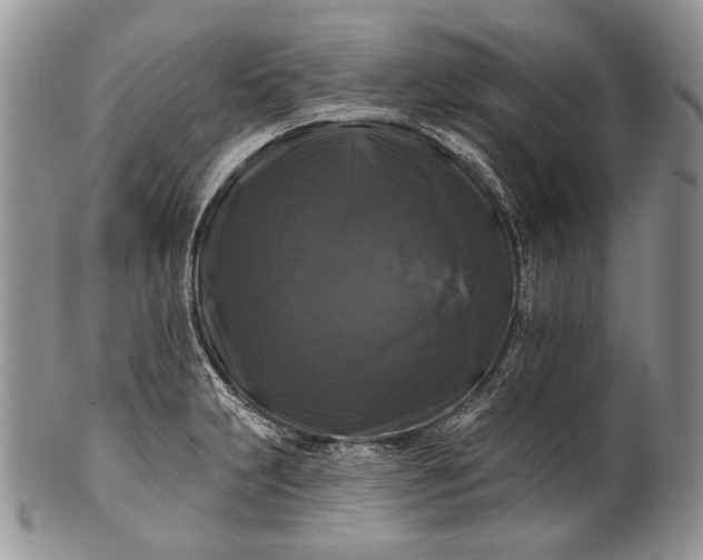 X0000100371231200806201620