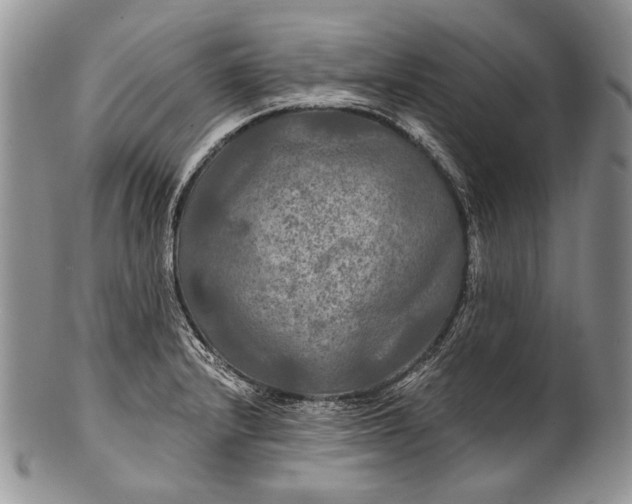 X0000100371232200806201620