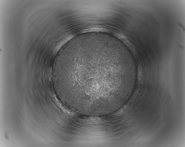 X0000100371233200806201620