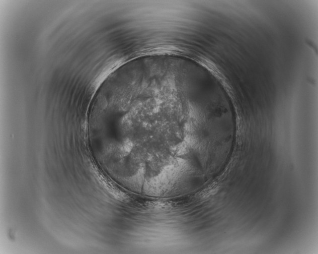 X0000100371234200806201620