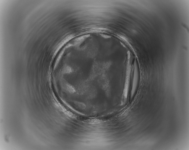 X0000100371235200806201620