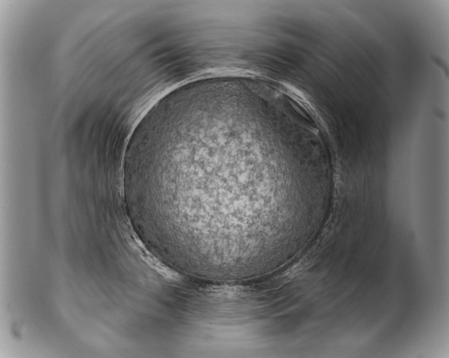 X0000100371236200806201620