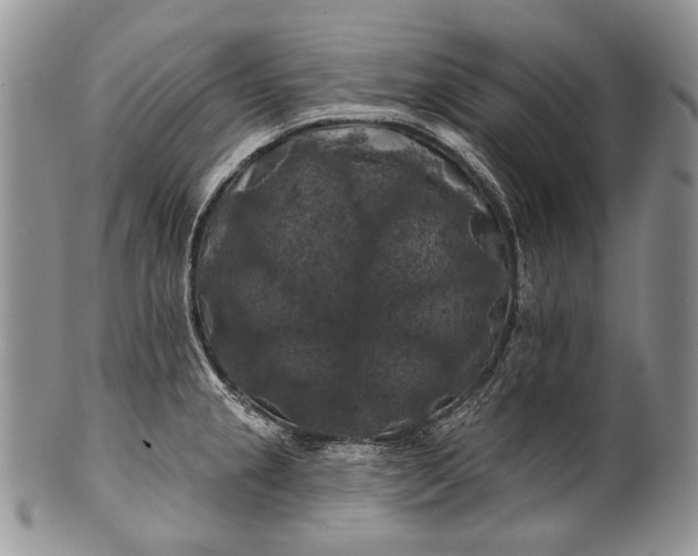 X0000100371237200806201620