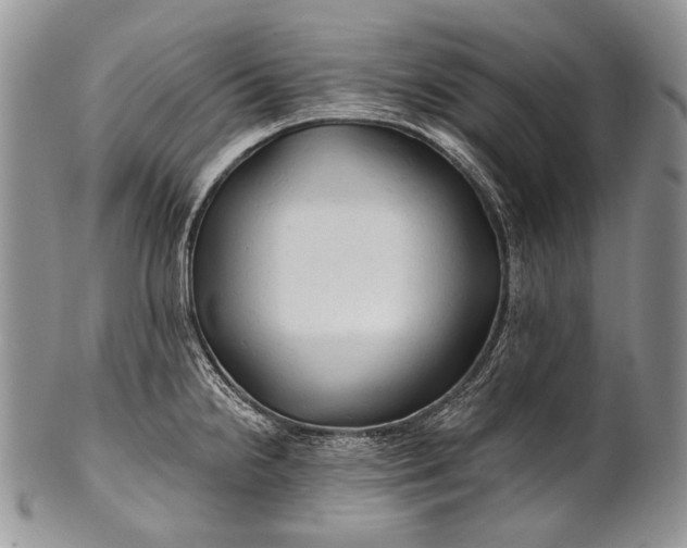 X0000100371238200806201620