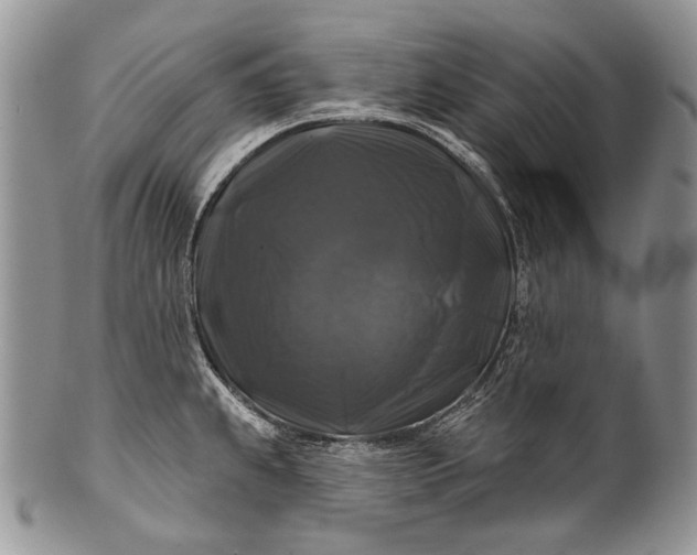 X0000100371239200806201620