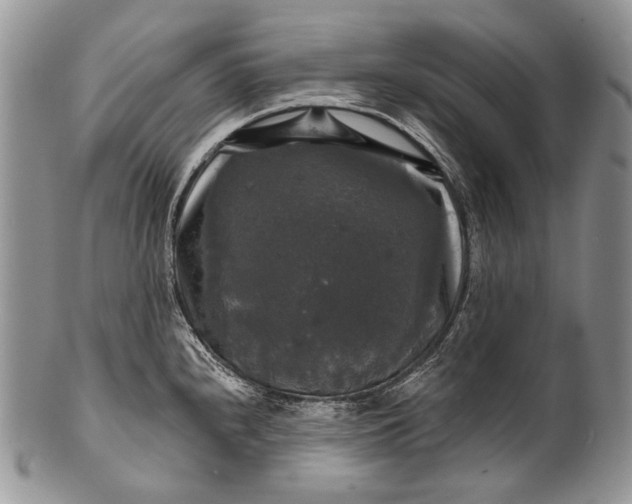 X0000100371240200806201620