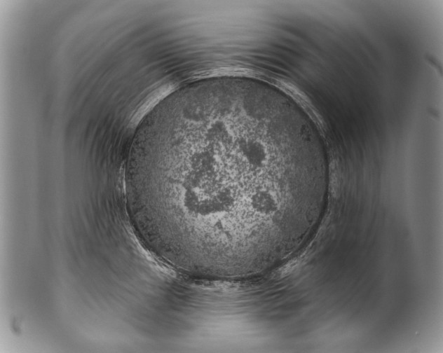 X0000100371241200806201620