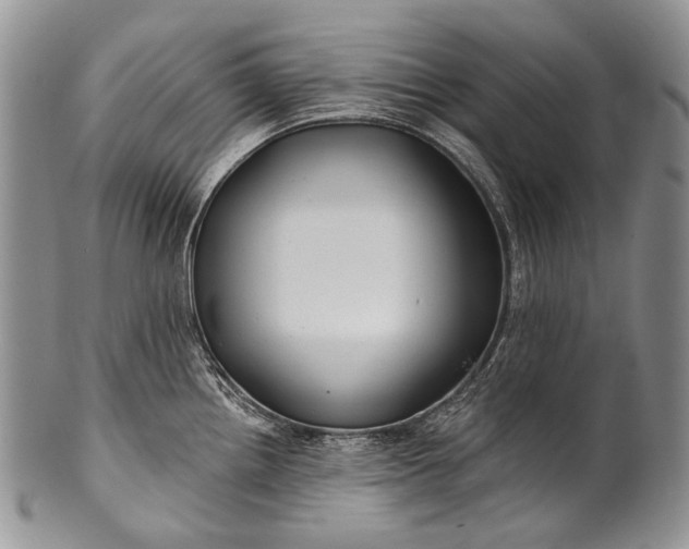 X0000100371242200806201620