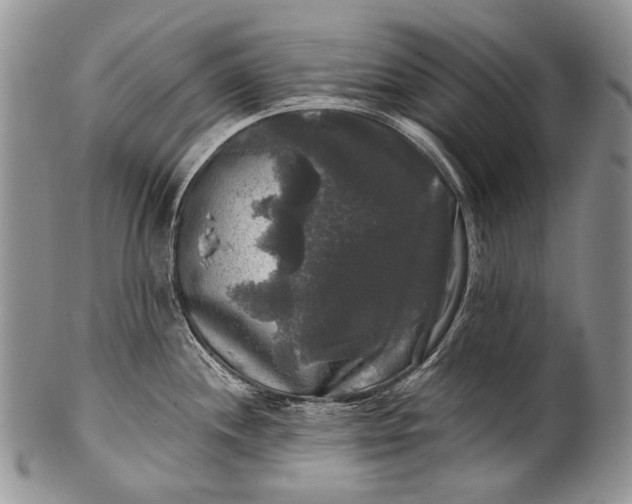 X0000100371244200806201620