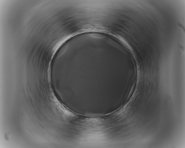 X0000100371246200806201620