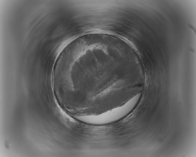 X0000100371247200806201620