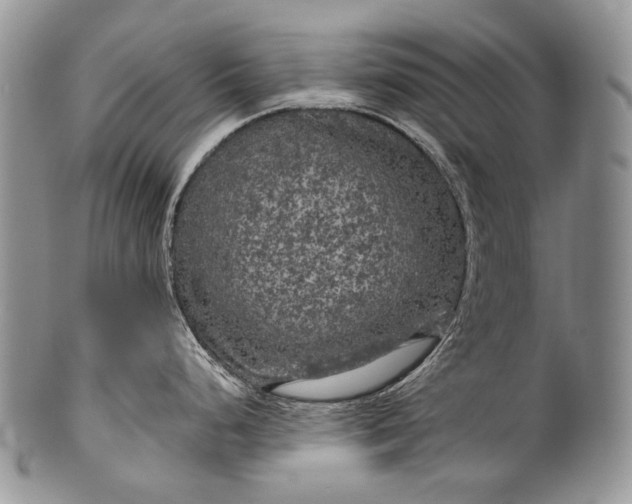 X0000100371248200806201620