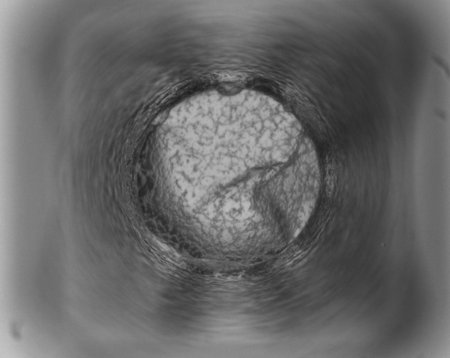 X0000100371249200806201619