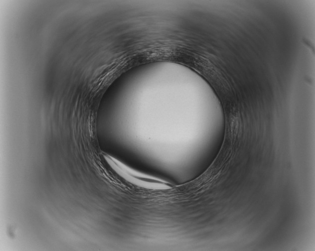 X0000100371250200806201619