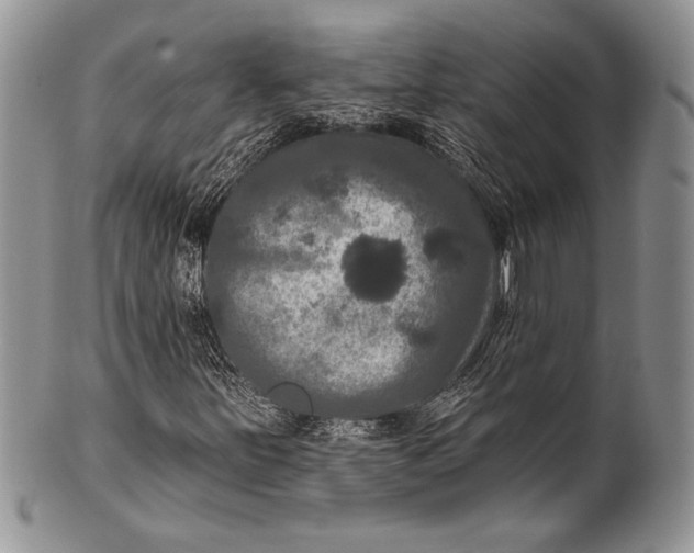 X0000100371251200806201619