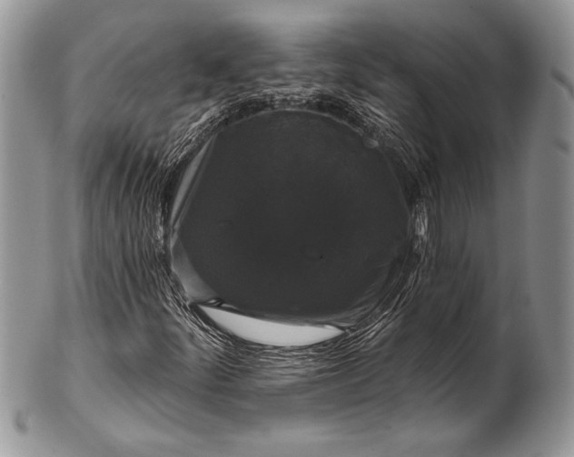 X0000100371252200806201619