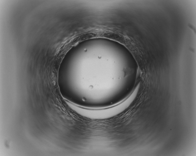 X0000100371253200806201619