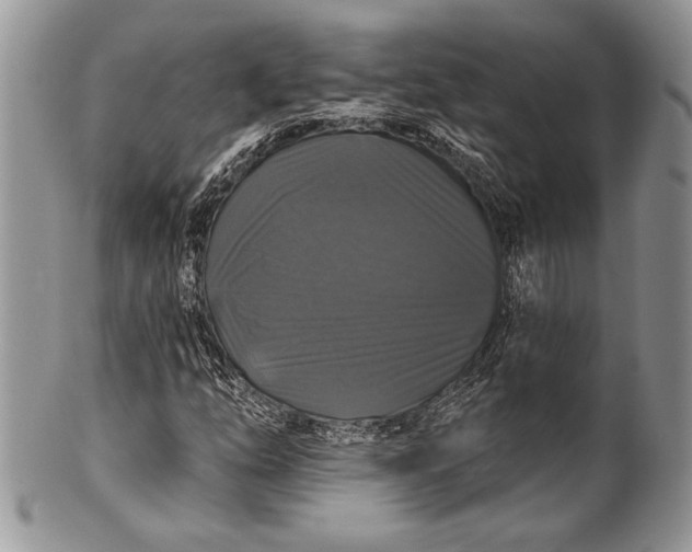 X0000100371254200806201619