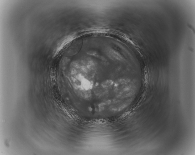 X0000100371255200806201619