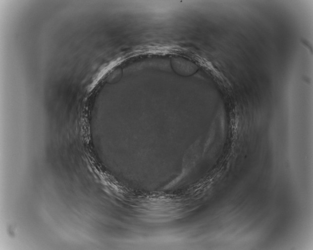 X0000100371256200806201619