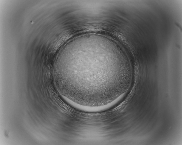 X0000100371257200806201619