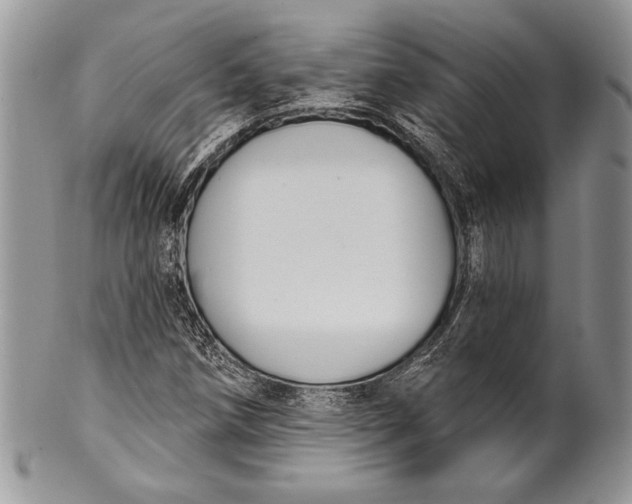 X0000100371258200806201619