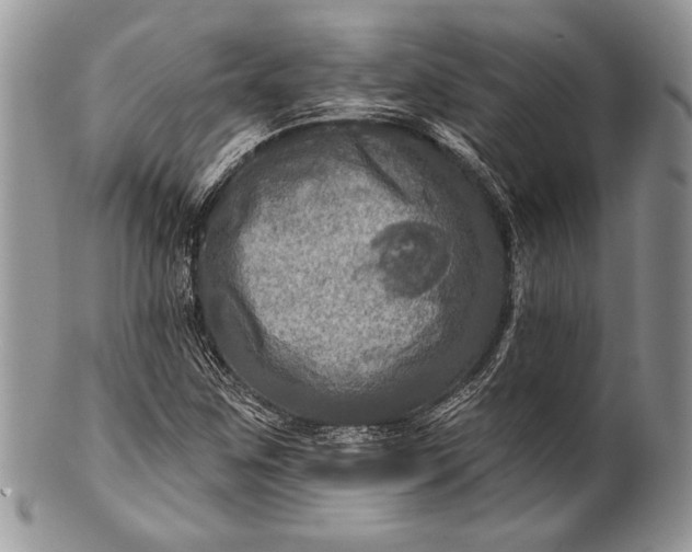 X0000100371259200806201619