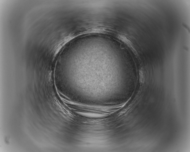 X0000100371260200806201619