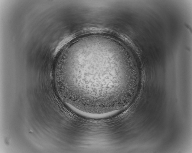 X0000100371261200806201619