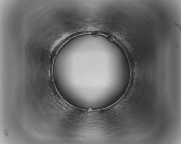 X0000100371262200806201619