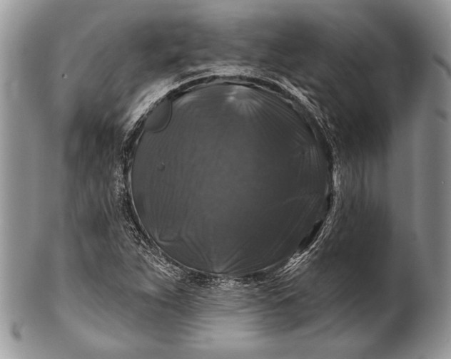 X0000100371263200806201619